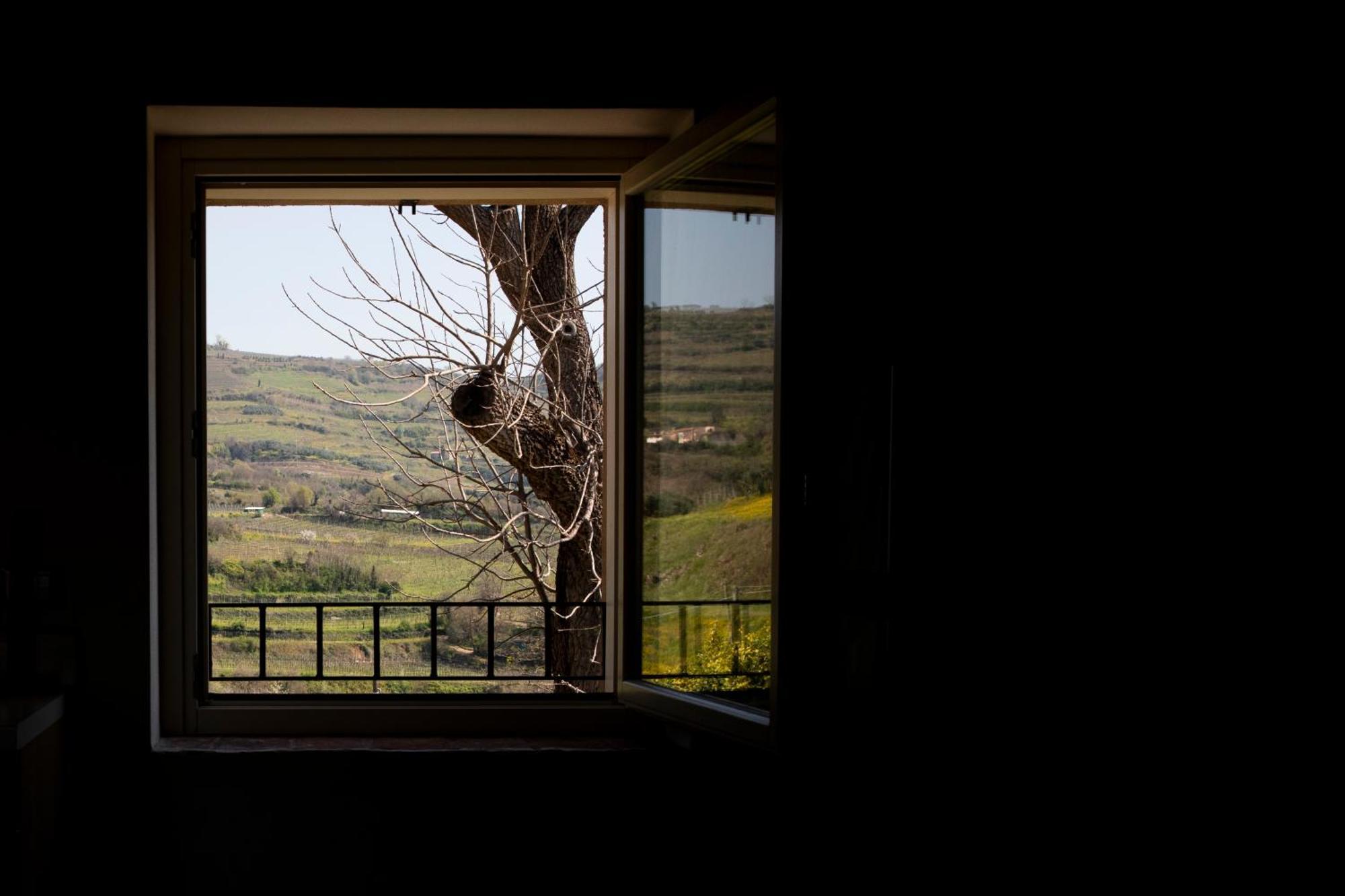 Corte Dei Soavi Suites - Apartments Soave  Exterior photo